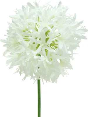Produktbild von Künstlicher Zierlauch Allium für elegante Dekoration