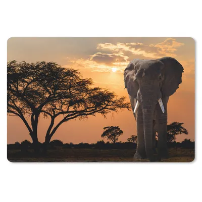 Produktbild von MuchoWow® Schreibtischunterlage Elefant - Baum - Afrika 60x40 cm - XXL Mauspad - Großes Mauspad
