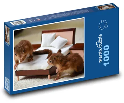 Zdjęcie produktu dla martinpuzzle - Puzzle 1000 - Veverky - młode, zwierzęta