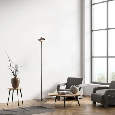 Immagine prodotto di Lampada da terra a LED PAUL NEUHAUS Q-ROTATE, marrone scuro, Smarthome ZigBee, 2700–5000 K, codice articolo 324-34