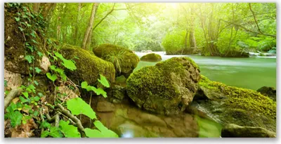 Produktbild von Acrylglasbilder 120x60 Wandbild Druck See Steine Natur