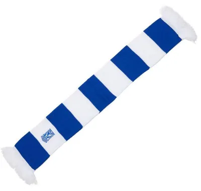 Immagine prodotto di Lech Pozna - Sciarpa per bambini PP8839 (taglia unica) (bianco/blu)
