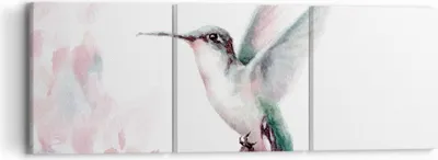 Produktbild von Bild auf Leinwand - Leinwandbild - 3 Teile - Kolibri Aquarell Licht - 90x30cm - Wand Bild - Wanddeko - Wandbilder - Leinwanddruck - Bilder - Wanddekoration - Leinwand bilder - Wandbild - CA90x30-4518