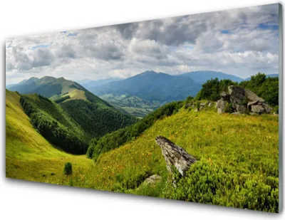 Produktbild von Acrylglasbilder 100x50 Wandbild Druck Gebirge Wiese Landschaft
