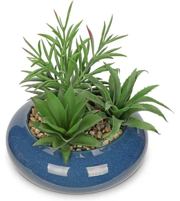 Zdjęcie produktu dla Sztuczne sukulenty w ceramicznym doniczce, 18 cm, kolor niebieski
