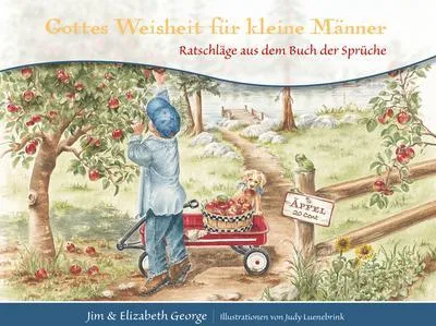 Produktbild von Gottes Weisheit für kleine Männer