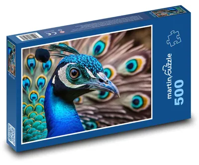 Obrázek produktu pro Puzzle 500 Barevný páv - pták, zvíře - martinpuzzle