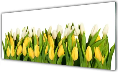 Produktbild von Küchenrückwand aus Glas 125x50cm Spritzschutz Tulpen Pflanzen
