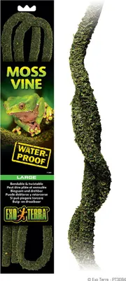 Obrázok produktu pre Exo Terra PT3084, Rastliny, 1 kusov