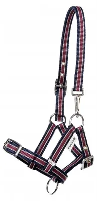 Produktbild von Kavalkade Fohlenhalfter navy/burgundy für Fohlen II