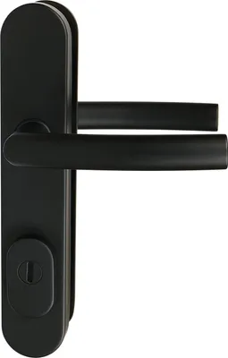 A black door handle set on a white background.