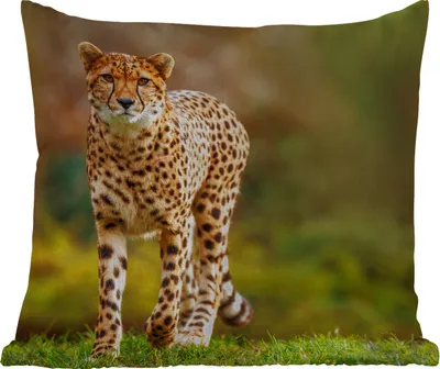 Produktbild von MuchoWow® Outdoor Kissen - Wildtiere - Gras - Leopard - Natur - 45x45 cm - Wetterfest - Lounge Kissen - Fotokissen - Dekoratives Kissen