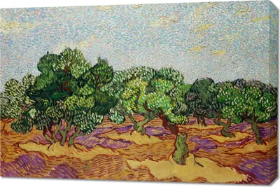 Produktbild von Bild 90x60cm Olivenbäume 2, Van Gogh Vintage für das Wohnzimmer