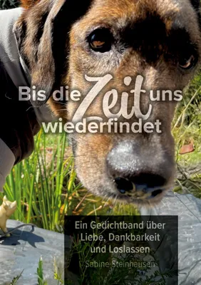 Produktbild von Bis die Zeit uns wiederfindet