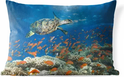 Produktbild von MuchoWow® Outdoor Kissen - Korallenriff mit Schildkröte - 60x40 cm - Wetterfest - Lounge Kissen - Zierkissen - Kissen für Innenräume