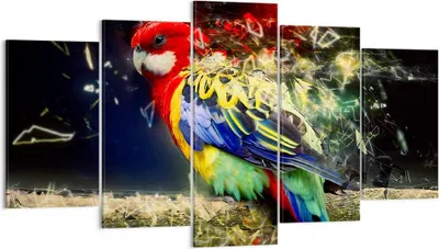 Produktbild von Bild auf Leinwand - Leinwandbild - Papagei Vogel Feder - 160x85cm - Wand Bild - Wanddeko - Leinwanddruck - Bilder - Kunstdruck - Wanddekoration - Leinwand bilder - Wandkunst - EA160x85-3682