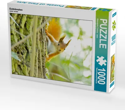 Produktbild von Calvendo Eichhörnchen 1000 Teile Puzzle quer 640x480mm, Tortora - www.aroundthelight.c; 7442375