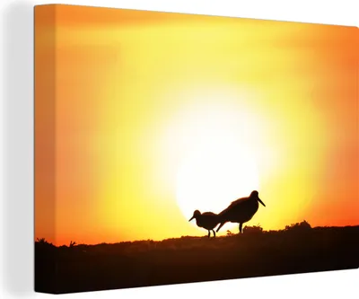 Zdjęcie produktu dla OneMillionCanvasses® - Obrazy na płótnie - 140x90 cm, Ostrygojad z młodym w słoneczny poranek, Dekoracja ścienna - Zdjęcie na płótnie - Obraz