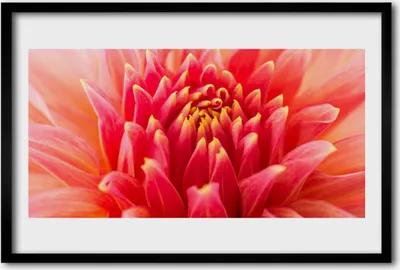Produktbild von Bild 60x40 MDF-Rahmen Wandkunst Natur Blume Pflanze