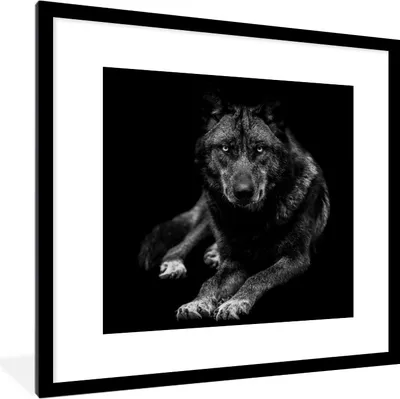 Produktbild von MuchoWow® Gerahmtes Poster Tiere - Wolf - Schwarz - Weiß - Porträt 40x40 cm - Poster mit Schwarzem Bilderrahmen Wandposter Rahmen Foto Bilder - Poster - Plakat im Rahmen