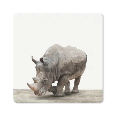 Produktbild von MuchoWow® Mauspad Mousepad Nashorn - Jungen - Wildtiere - Kinder - Mädchen - Tiere 30x30 cm - Mousepads - Maus Mat - Pad - Mausunterlage - Gaming