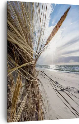 Produktbild von Bild auf Leinwand - Leinwandbild - Einteilig - Küste Perspektive Gras - 80x120cm - Wand Bild - Wanddeko - Wandbilder - Leinwanddruck - Wanddekoration - Leinwand bilder - Wandbild - PA80x120-4526