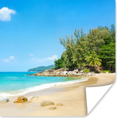 Produktbild von MuchoWow® Poster Strand - Meer - Pflanzen - Tropisch 75x75 cm - Wand Dekoration