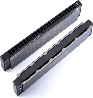 Immagine prodotto di armonica tremolo a 24 fori, elegante armonica a tonalità C in nero per giocatori professionisti, principianti, studenti, bambini e adulti