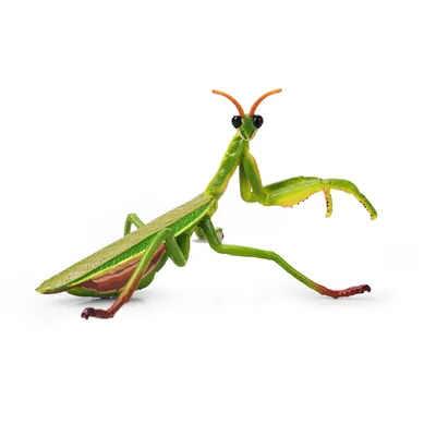 Produktbild von Toymany ML00502 Chinesische Gottesanbeterin 9,2 cm Reptilienreich