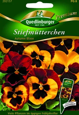 Produktbild von Stiefmütterchen Autumn Blaze | Stiefmütterchensamen von Quedlinburger