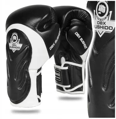 Produktbild von DBX BUSHIDO Leder Boxhandschuhe Training Sparring 12oz