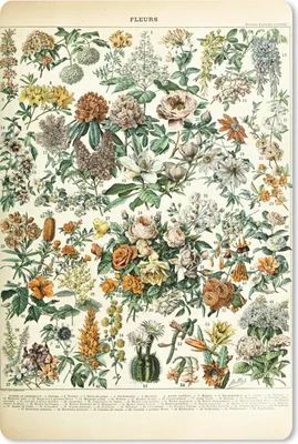 Produktbild von MuchoWow® Mauspad Mousepad Blumen - Orange - Gelb 40x60 cm - Mousepads - Maus Mat - Pad - Mausunterlage - Schreibtisch Accesoire