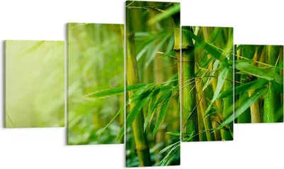 Produktbild von Bild auf Leinwand - Leinwandbild - Bambus Pflanze - 125x70cm - Wand Bild - Wanddeko - Wandbilder - Leinwanddruck - Bilder - Kunstdruck - Wanddekoration - Leinwand bilder - Wandkunst - EA125x70-3558