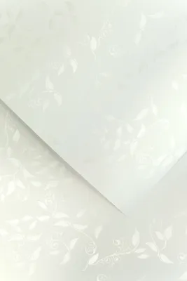 Immagine prodotto di Galeria Papieru carta decorativa Liana bianca 230g, 20 pezzi