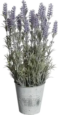 Produktbild von aplanta Künstlicher Lavendel - Darbas | 45 cm, für drinnen, Kunstpflanze, wie echt, Allergiker geeignet, pflanzliche Dekoration Praxis, Office & Wohnzimmer