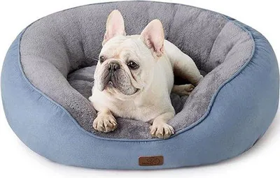 Produktbild von Famanu Katzenbett 76 x 61 x 20 cm - Mit Wendekissen - Bequemer Schlafplatz für Katzen und kleine Hunde - Blau