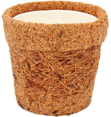 Image de Kokodama - Pot à plantes vide 10cm