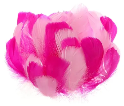 Bunte Gänsefedern 300 Stück, 7,6–12,7 cm, Rosa/Fuchsia für Basteln