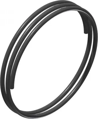 Zdjęcie produktu dla Dt Swiss Ratchet Deg Spring Silver Srebrny Jeden rozmiar