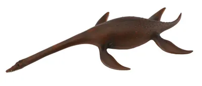 Zdjęcie produktu dla COLLECTA Attenborosaurus - (L)