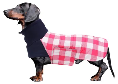 Immagine prodotto di Giacca imbottita per cani, adatta a bassotti, con cinture regolabili - Rosa - Taglia M