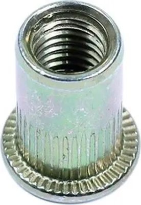 Obrázok produktu pre 20x vložená matica M10x19,7 mm oceľová nitovacia matica vložená matica pre slepé nity
