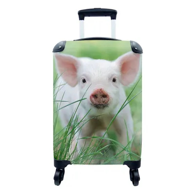Produktbild von MuchoWow® Koffer Handgepäck Trolley Rollkoffer Kleine Reisekoffer mit 4 Rollen - Schwein - Tiere - Groß - Cabin Size < 55x40x23 cm & 55x40x20 cm - Fotokoffer - Kabinenkoffer - Boardgepäck - Reise-Box - Reisekoffer - Reisegepäck - Koffer mit Bild - Trolley für Kinder