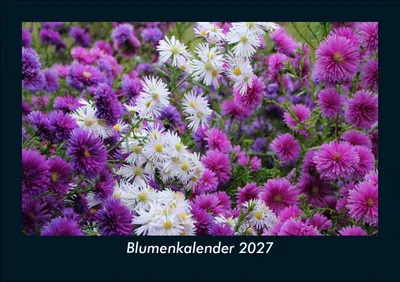 Produktbild von Blumenkalender 2027 Fotokalender DIN A5