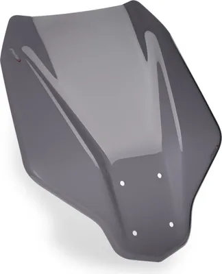 Image de PUIG 21259F Pare-brise V-Tech Line Touring pour BMW CE 04 fortement teinté