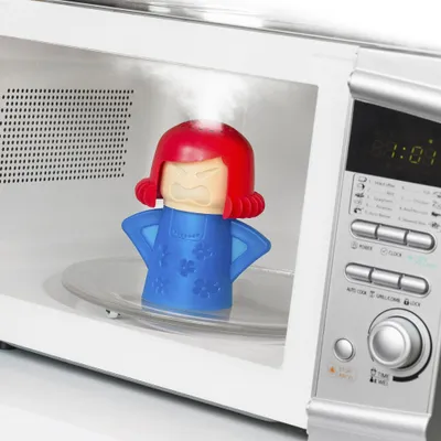 Produktbild von Mikrowellenreiniger v0100794 innovagoods