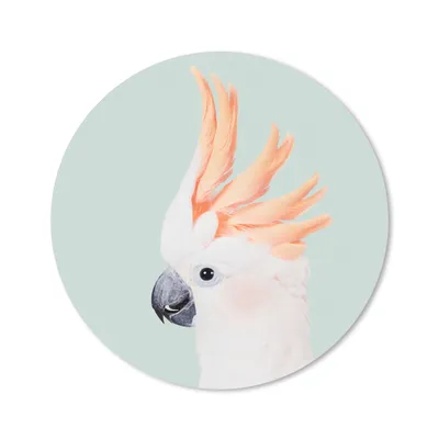 Produktbild von MuchoWow® Mauspad Mousepad Kakadu - Tiere - Natur - Weiß 20x20 cm - Mousepads - Maus Mat - Pad - Mausunterlage - Schreibtischmatte