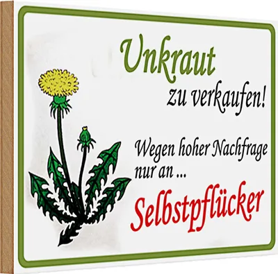 Produktbild von Holzschild Spruch 30x20cm Unkraut verkaufen Selbstpfücker