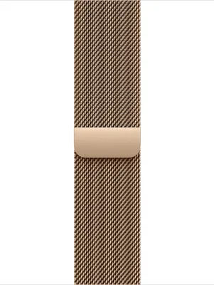 Image de Apple MGHW4ZM/A, Bracelet, Smartwatch, Or, Apple, Apple Watch 38/40/41mm, Edelstahl
