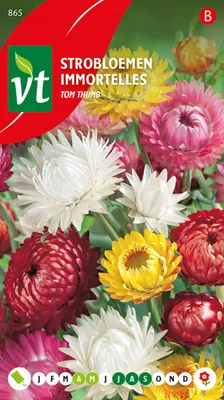 Obrázok produktu pre Semená jahody Tom Thumb - približne 0,75 gr | VT_865